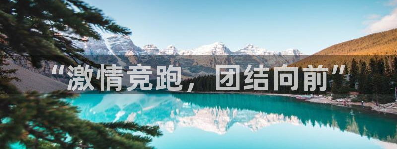 MK体育官方正版app官网:“激情竞跑,团结向前”