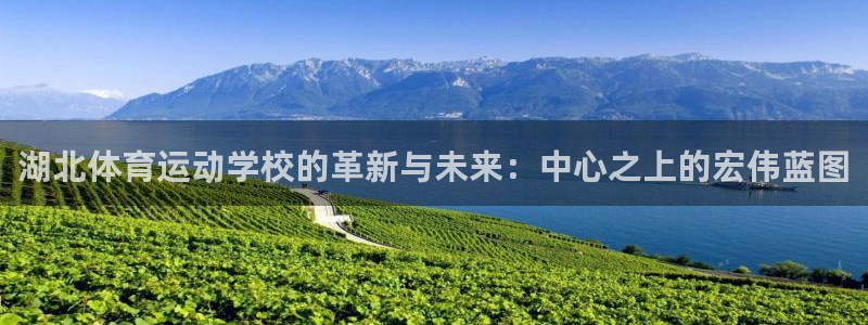 MK体育官方正版app娱乐首页网站大全:湖北体育运动学校的革