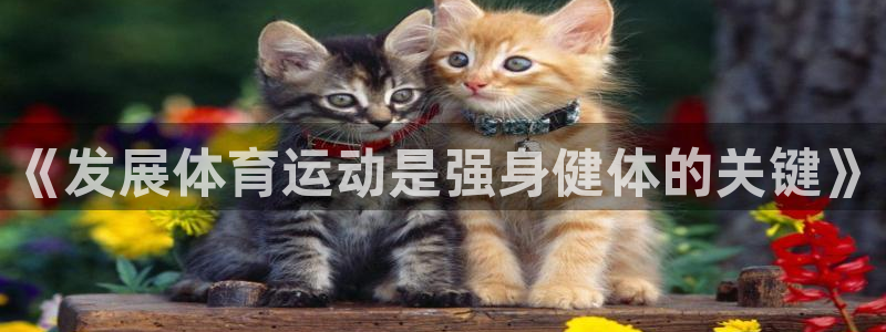 MK体育官网下载平台注册:《发展体育运动是强身健体的关键》